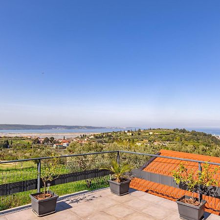 Larabella Salt Fields View Studio Portorož Dış mekan fotoğraf