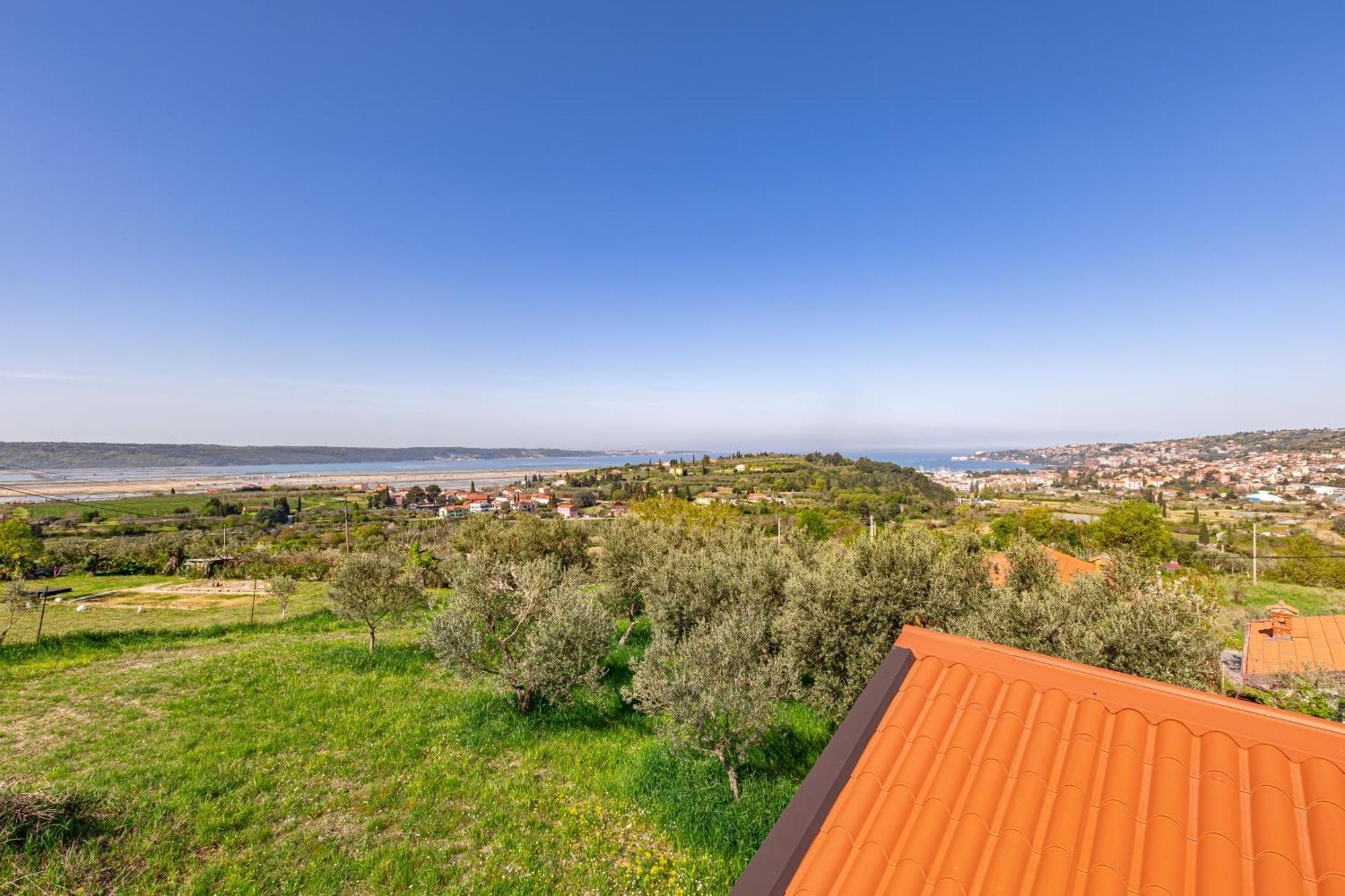Larabella Salt Fields View Studio Portorož Dış mekan fotoğraf